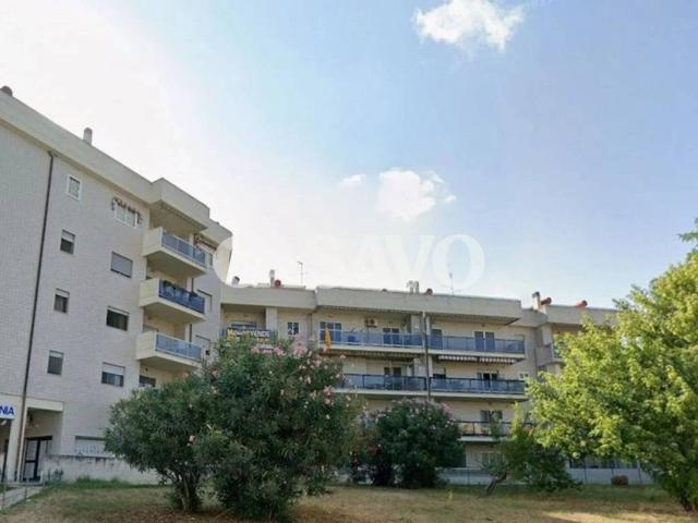 Appartamento in vendita a Nettuno RM