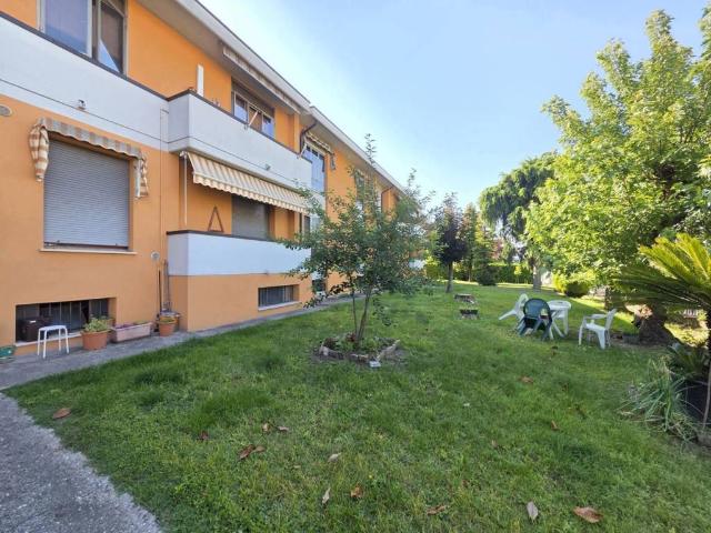Appartamento in vendita a Nogara VR