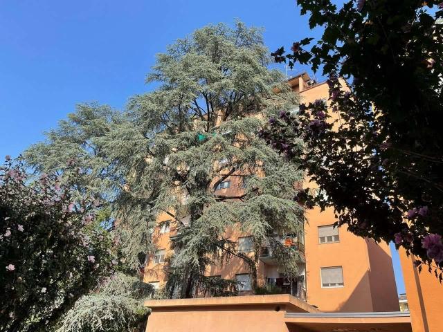 Appartamento in vendita a Novara