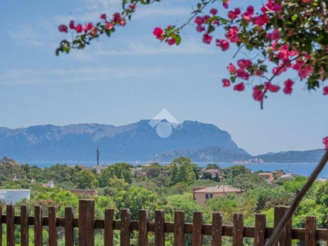 Appartamento in vendita a Olbia OT