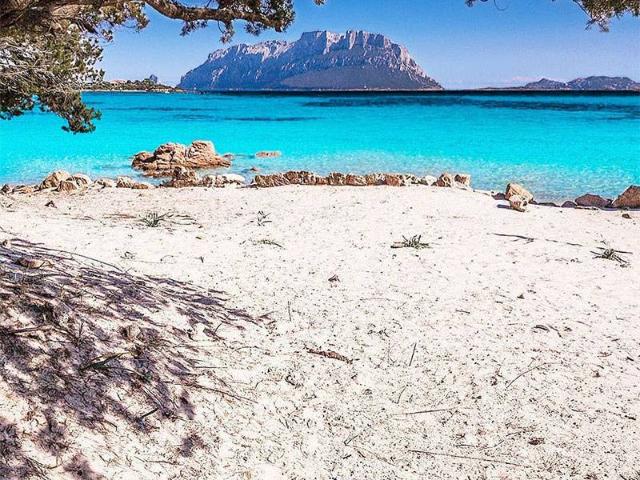 Appartamento in vendita a Olbia, Porto Istana