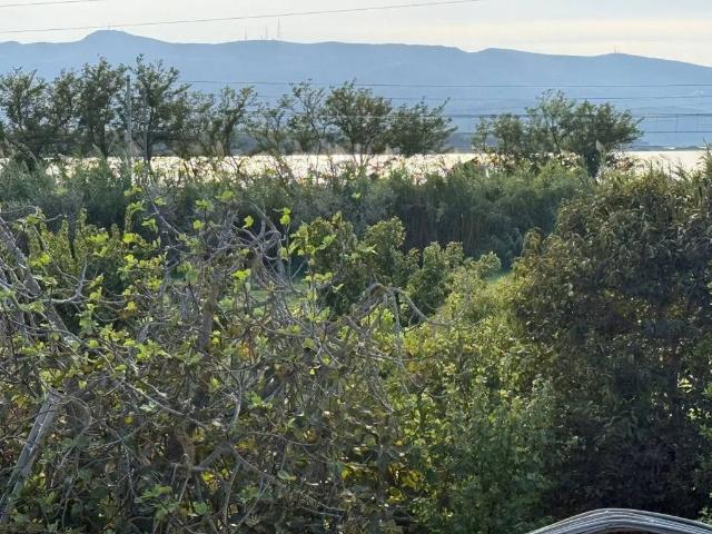 Appartamento in vendita a Orbetello GR