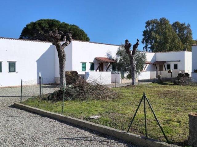 Appartamento in vendita a Orbetello GR