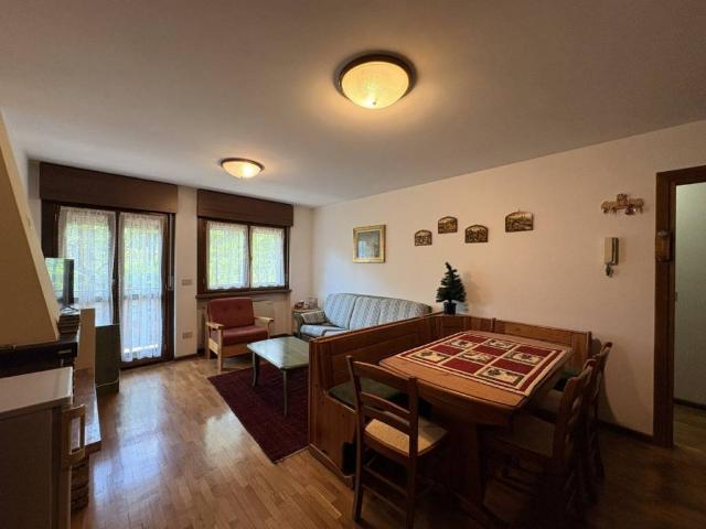 Appartamento in vendita a Auronzo di Cadore BL