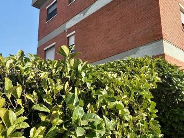 Appartamento in vendita a Avezzano AQ