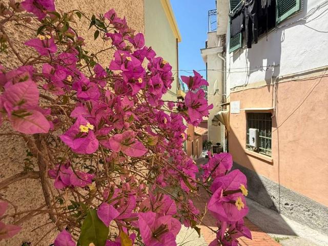 Appartamento in vendita a Alassio SV