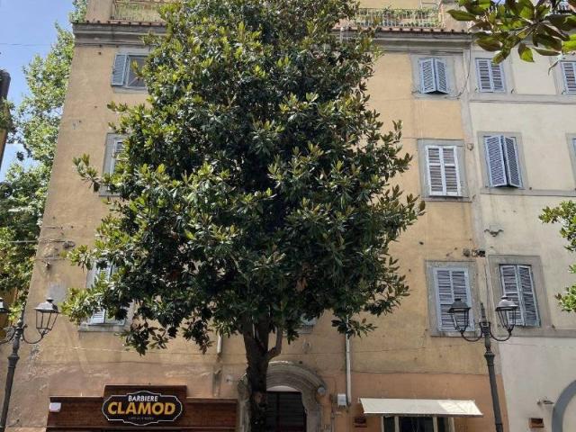 Appartamento in vendita a Albano Laziale RM