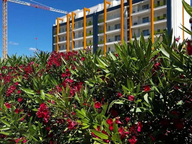 Appartamento in vendita a Alghero SS