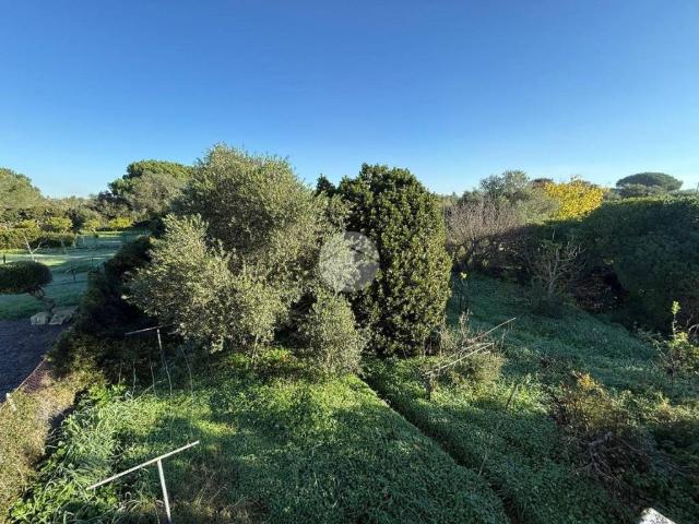 Appartamento in vendita a Alghero SS
