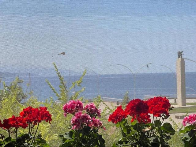 Appartamento in vendita a Alghero SS