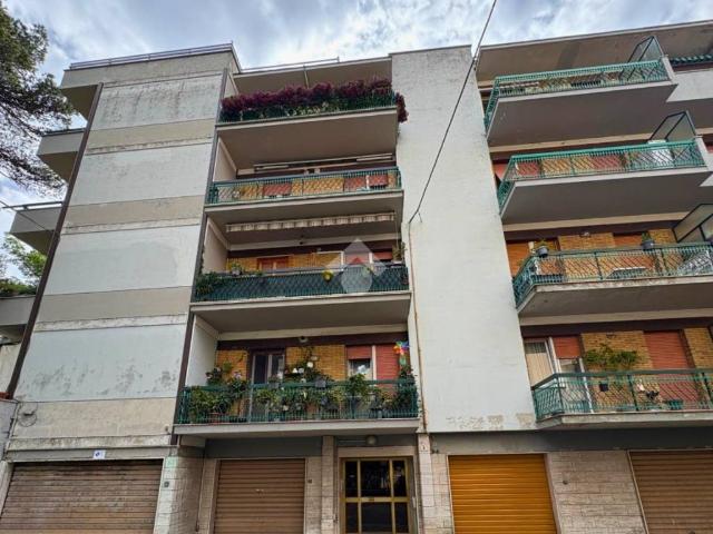 Appartamento in vendita a Ancona AN