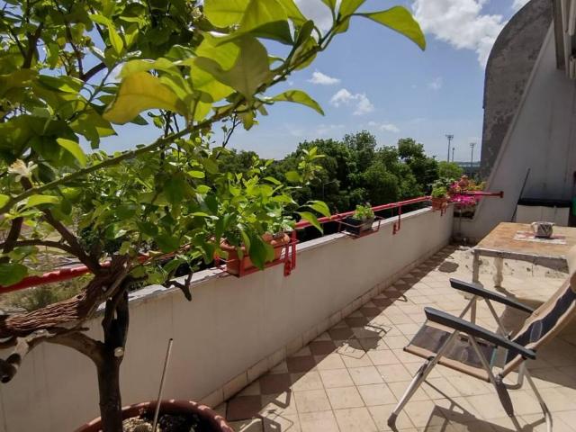 Appartamento in vendita a Ancona AN