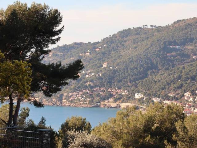 Appartamento in vendita a Andora SV