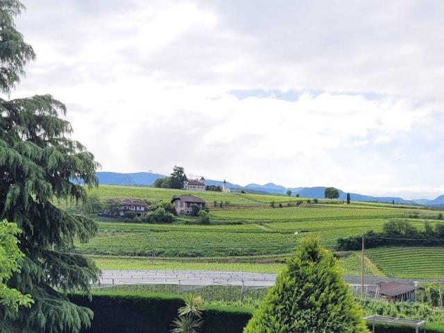 Appartamento in vendita a Appiano sulla Strada del Vino BZ
