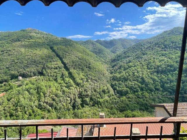Appartamento in vendita a Apricale IM