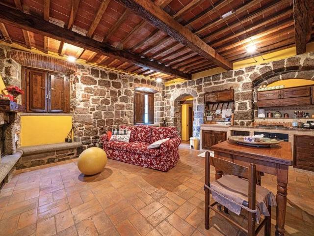 Appartamento in vendita a Arcidosso GR