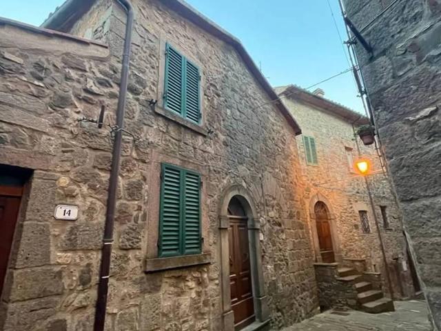 Appartamento in vendita a Arcidosso GR