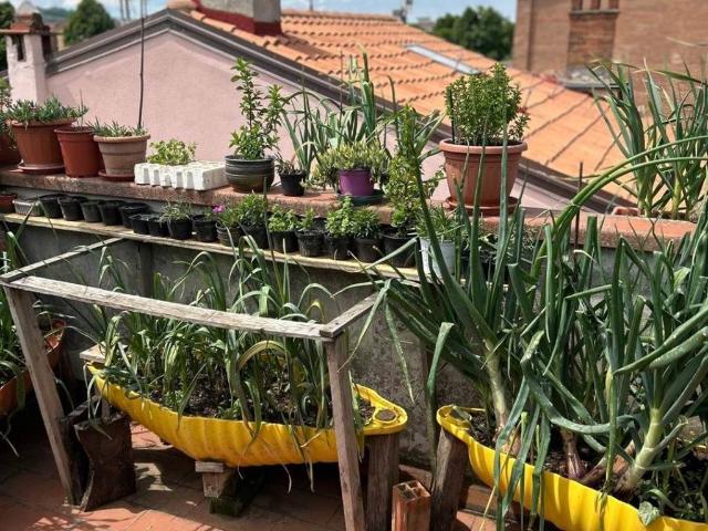 Appartamento in vendita a Arezzo AR