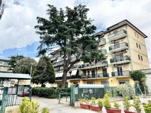 Appartamento in vendita a Arzano NA