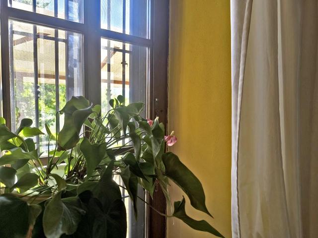 Appartamento in vendita a Asciano in Ristrutturato composto da 7vani