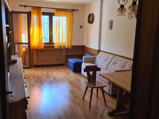 Appartamento in vendita a Belluno BL
