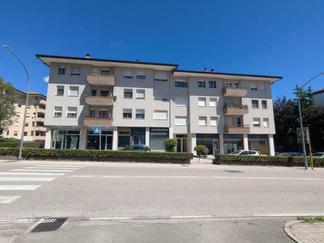 Appartamento in vendita a Belluno BL