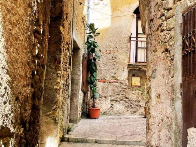 Appartamento in vendita a Belvedere Marittimo CS