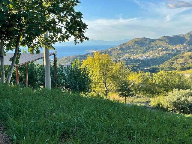 Appartamento in vendita a Belvedere Marittimo CS