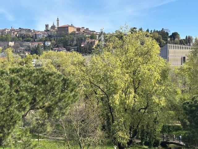 Appartamento in vendita a Bergamo BG
