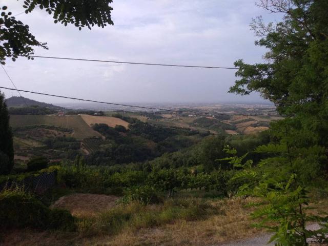 Appartamento in vendita a Bertinoro FC