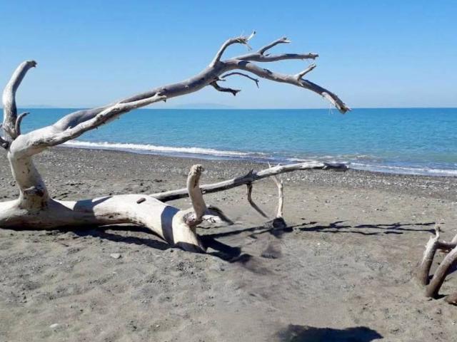 Appartamento in vendita a Bibbona LI