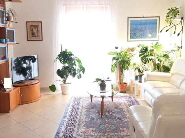 Appartamento in vendita a Bitonto BA
