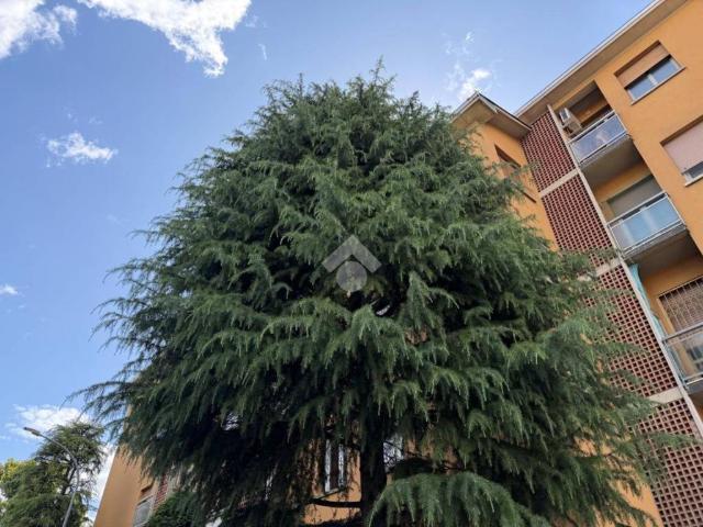 Appartamento in vendita a Bologna BO