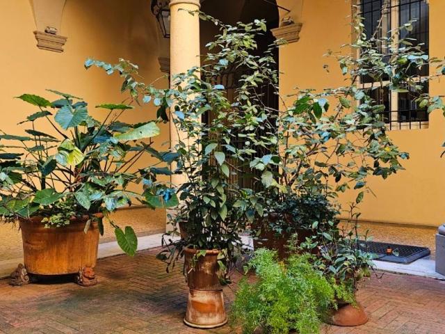 Appartamento in vendita a Bologna BO