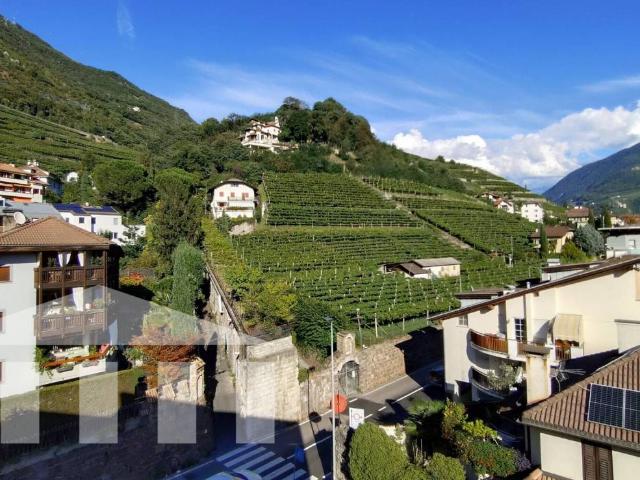 Appartamento in vendita a Bolzano BZ