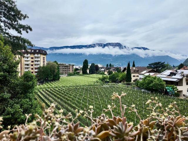 Appartamento in vendita a Bolzano BZ