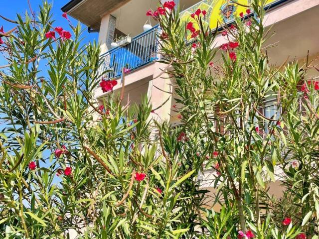 Appartamento in vendita a Borgo San Giacomo BS