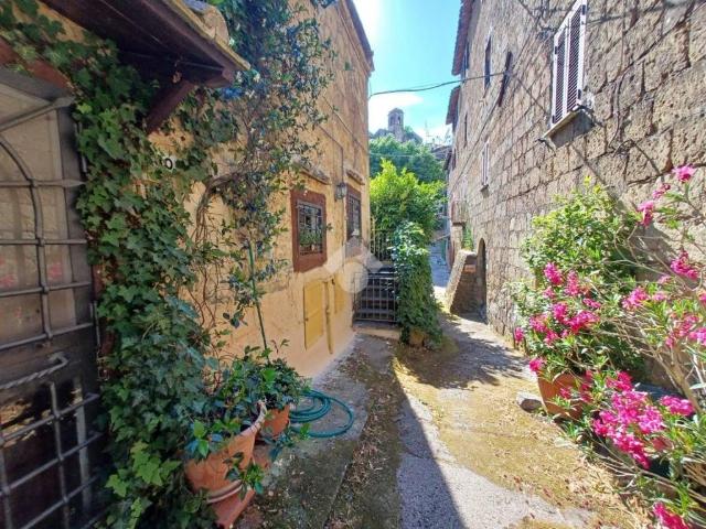 Appartamento in vendita a Calcata VT