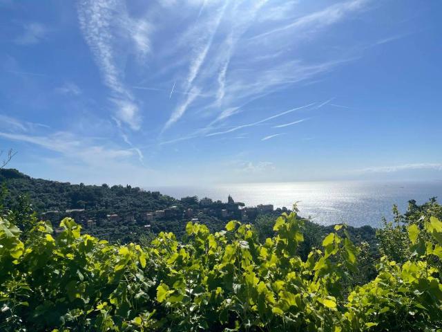 Appartamento in vendita a Camogli GE
