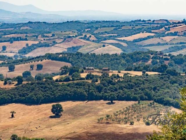 Appartamento in vendita a Campagnatico GR