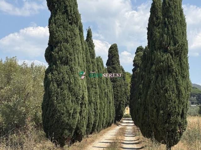 Appartamento in vendita a Campiglia Marittima LI