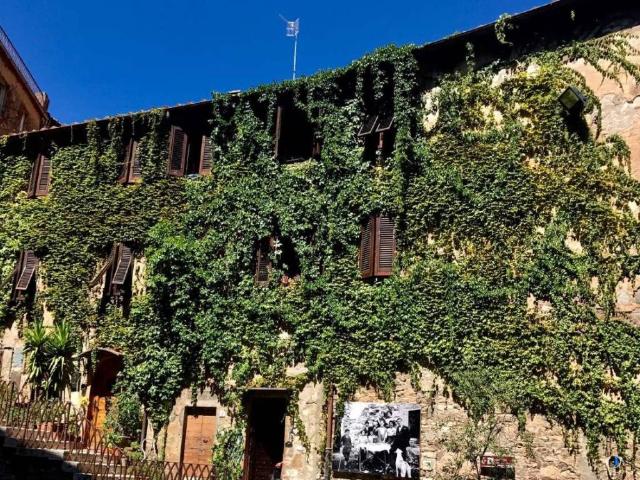 Appartamento in vendita a Campiglia Marittima LI