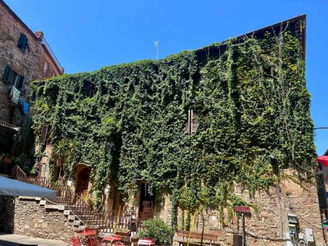 Appartamento in vendita a Campiglia Marittima LI