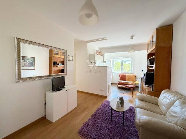 Appartamento in vendita a Campobasso CB