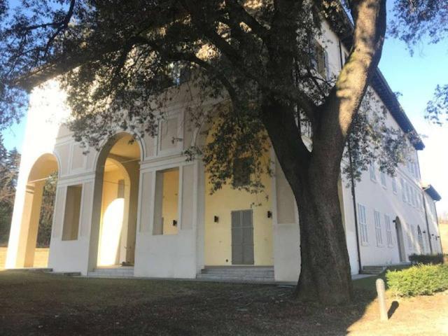 Appartamento in vendita a Casalgrande RE