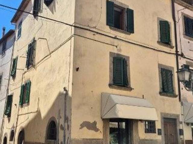 Appartamento in vendita a Castel del Piano GR