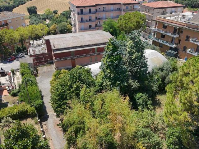 Appartamento in vendita a Castelfidardo AN