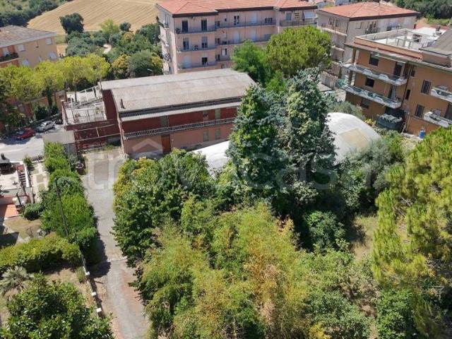 Appartamento in vendita a Castelfidardo via Gioacchino Rossini