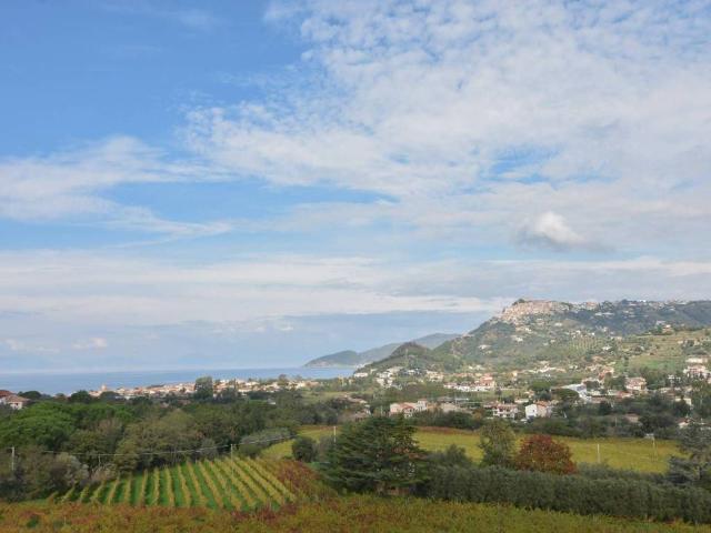 Appartamento in vendita a Castellabate SA