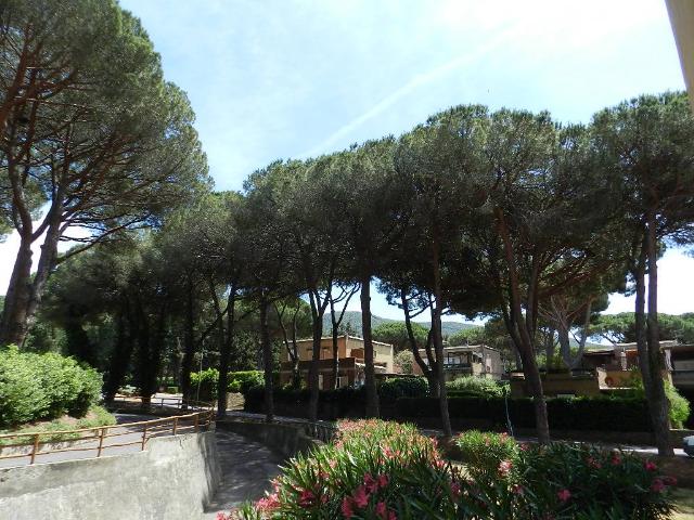 Appartamento in vendita a Castiglione della Pescaia GR